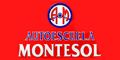 Autoescuela Montesol