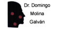 Domingo Molina Galván