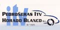 Pedroñeras ITV Horado Blanco